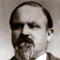 Alfred Rees (1841 - 1910) Profile