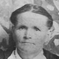 Lenora Rees (1853 - 1908) Profile