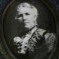 Mary Rees (1854 - 1926) Profile