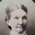 Sarah Ellen Sharp (1846 - 1937) Profile