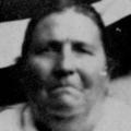 Jane Wann Shelton (1855 - 1917) Profile