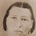 Annetta Hayter (1822 - 1876) Profile