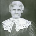 Sarah Elizabeth Smith (1849 - 1913) Profile