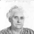 Susan Eliza Stephenson (1864-1948) Profile
