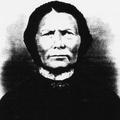Magnel Swenson (1814 - 1898) Profile