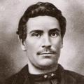 Samuel James Tolley (1849 - 1921) Profile