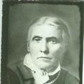 Artemisia Minerva Washburn (1847 - 1920) Profile