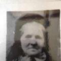 Sarah Hallstead (1810 - 1895) Profile