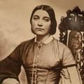 Ellen Wilcox (1840 - 1921) Profile