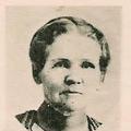 Susan Jane Wilkins (1840 - 1909) Profile