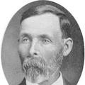 David Orson Willey (1849 - 1929) Profile