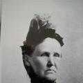 Harriet Elizabeth Cook (1824 - 1898) Profile