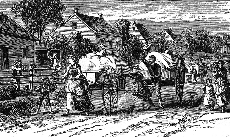 Handcart Company
