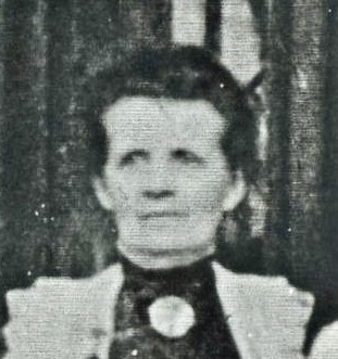 Mary Elizabeth Hillstead (1853 - 1921) Profile