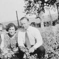 Digging peanuts at President Dillman's farm in Whitewater Arizona, 1924