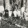 Mission to Samoa, 1889-92