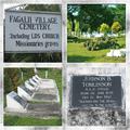 The cemetery in Samoa where Elder Judson Tomlinson is buried