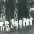 Missionaries in Samoa,1891