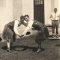 At the amusement hall in Honolulu, Between 1928 April – 1929 August