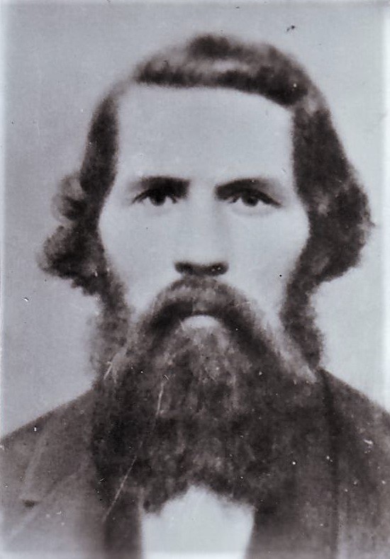 Henry Martin Harmon (1832 - 1895) Profile
