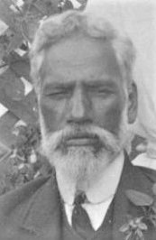 Tamihana Te Aweawe (1856-1918) Profile