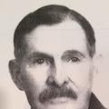 Cacey Potter Bowen (1858 - 1942) Profile