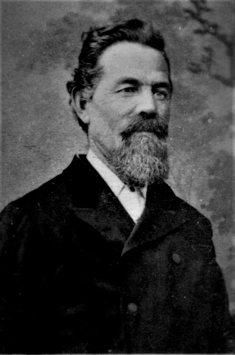 Wilmer Whorton Bronson (1829 - 1907) Profile
