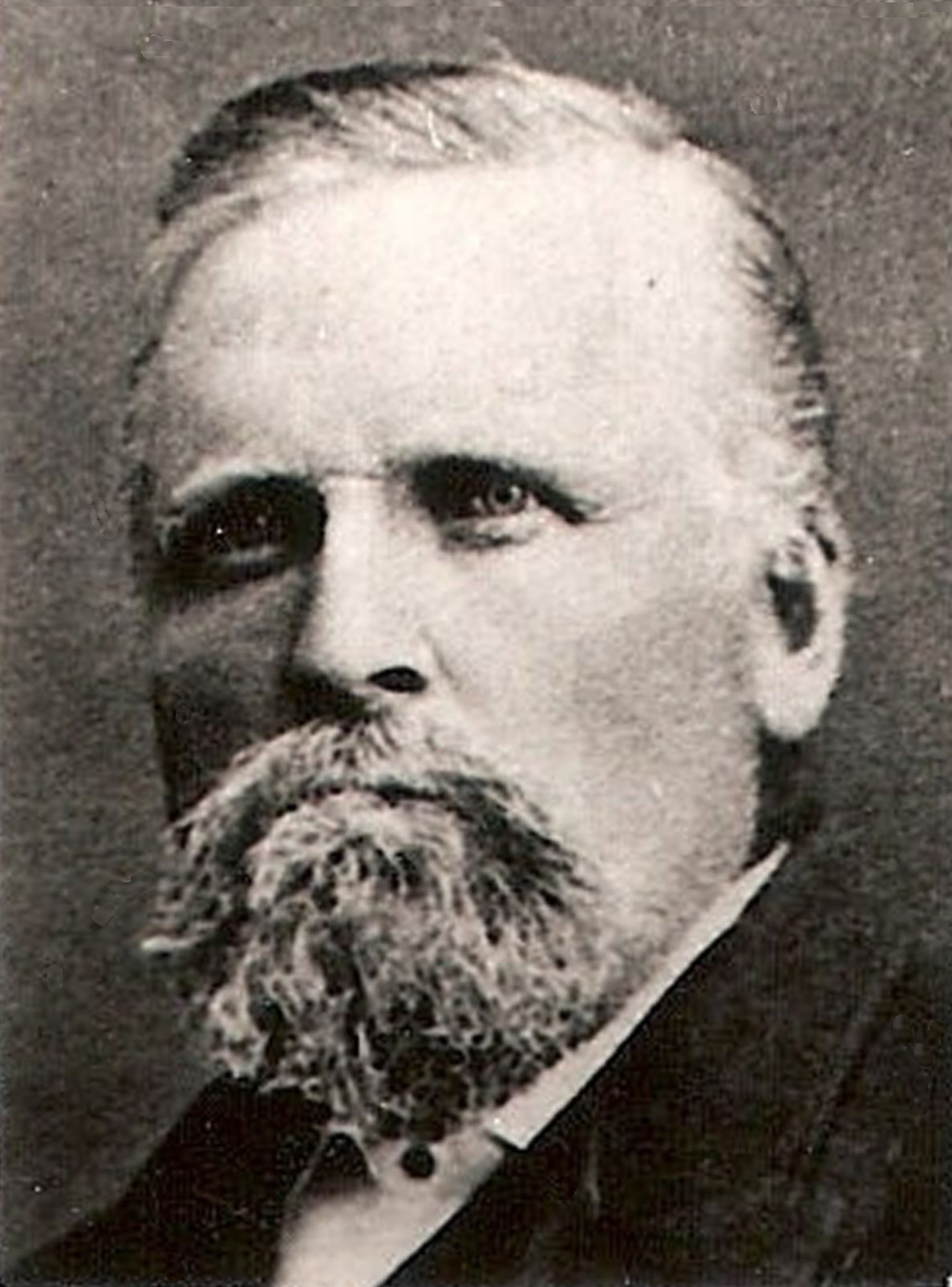 David Henry Caldwell (1828 - 1904)