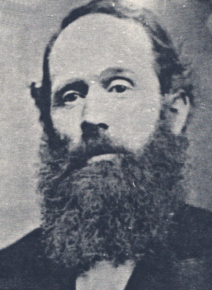 Martin Luther Ensign Sr. (1831 - 1911) Profile