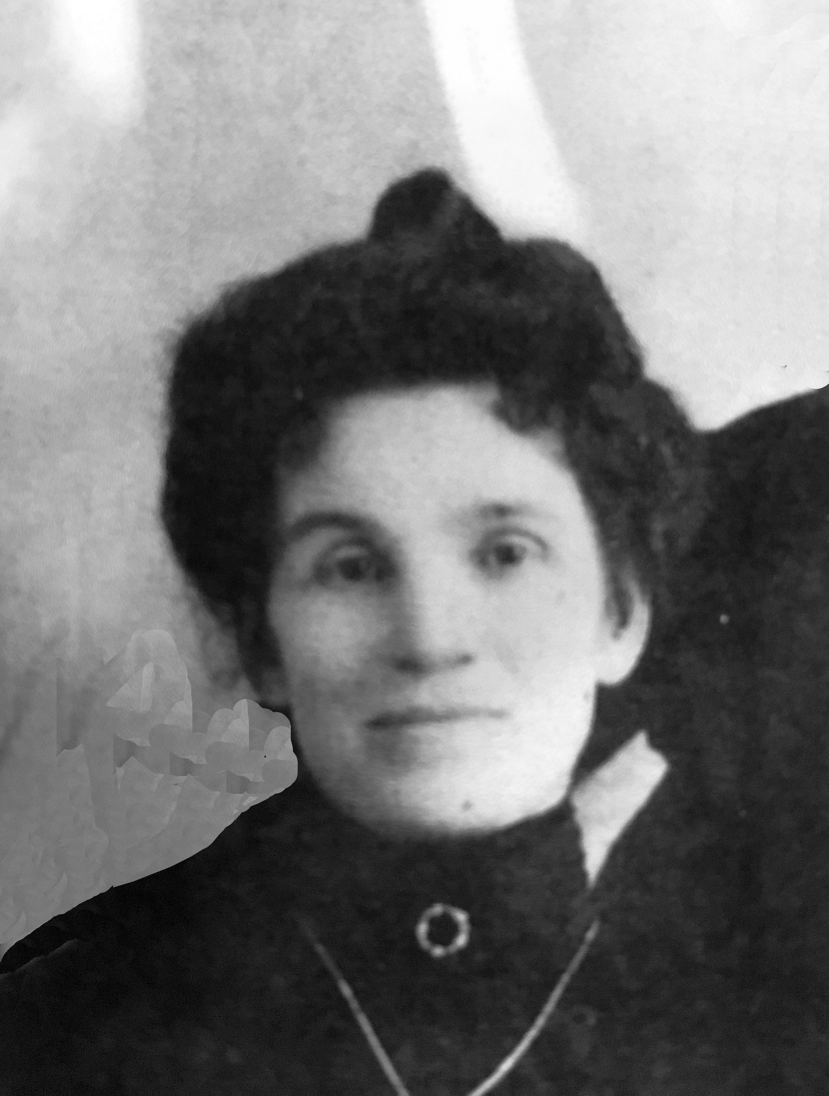 Mary Ellen Morgan (1866 - 1942) Profile