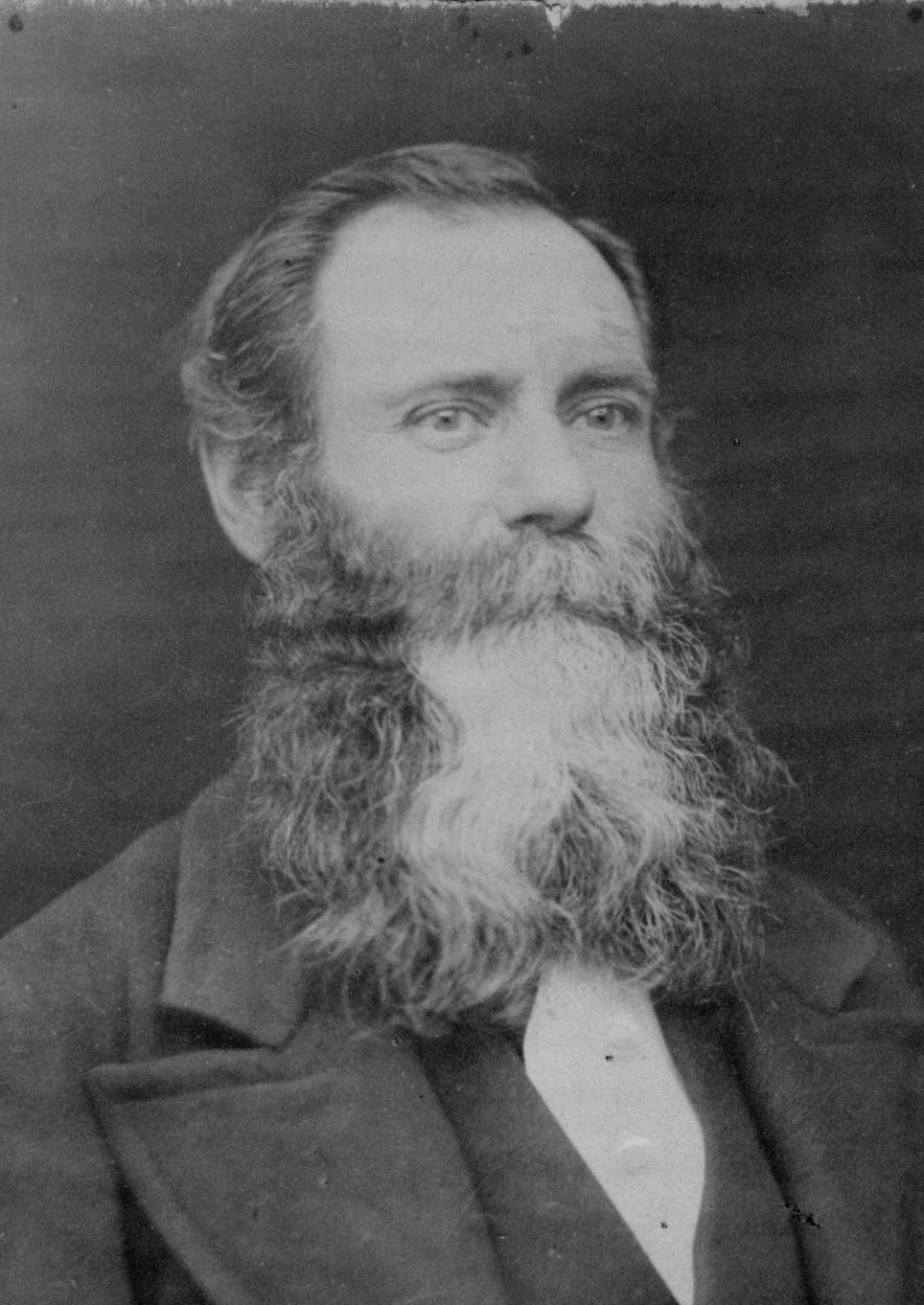 Moses Franklin Farnsworth (1834 - 1906) Profile