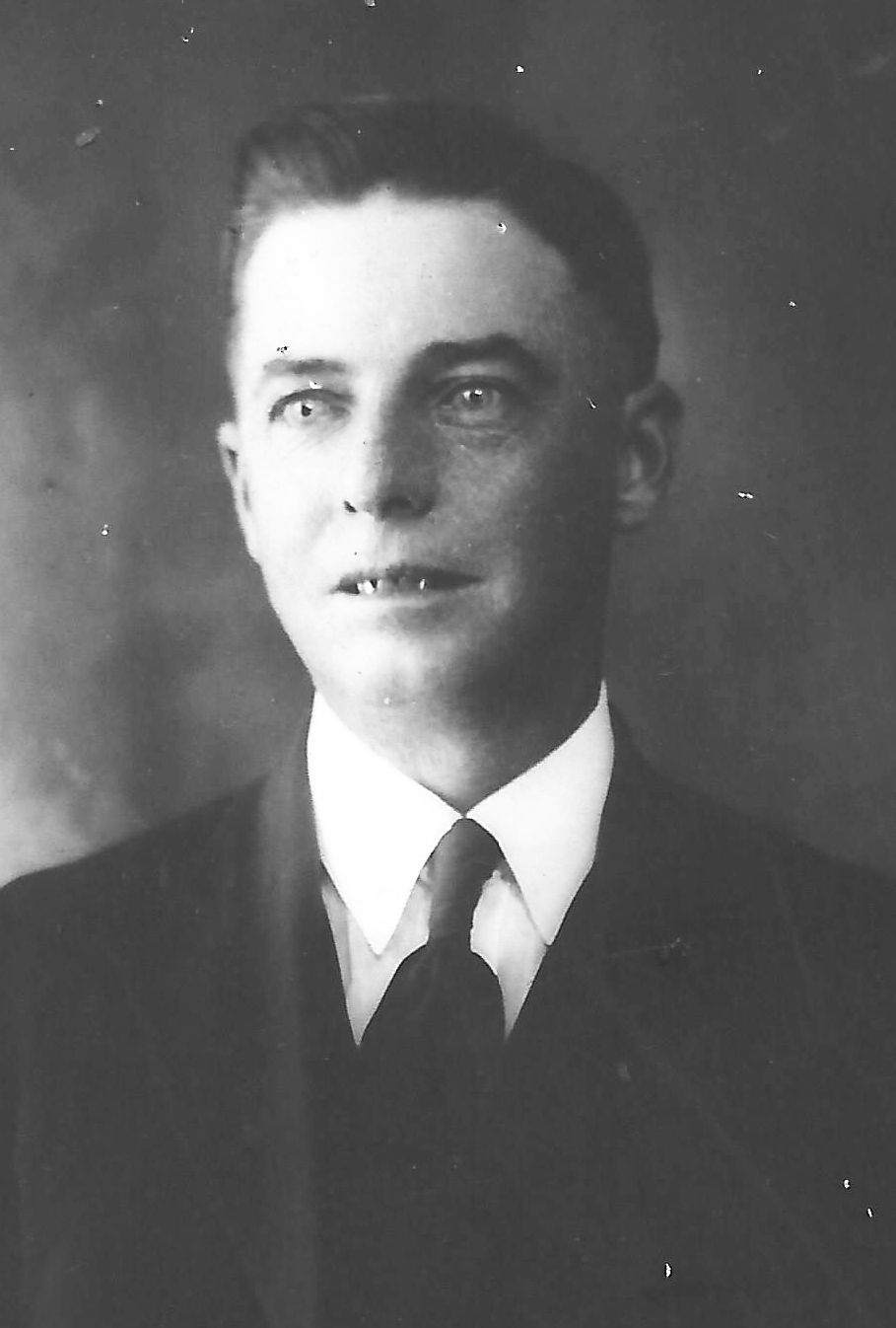 Lorenzo Fredrick Hansen (1885 - 1924) Profile