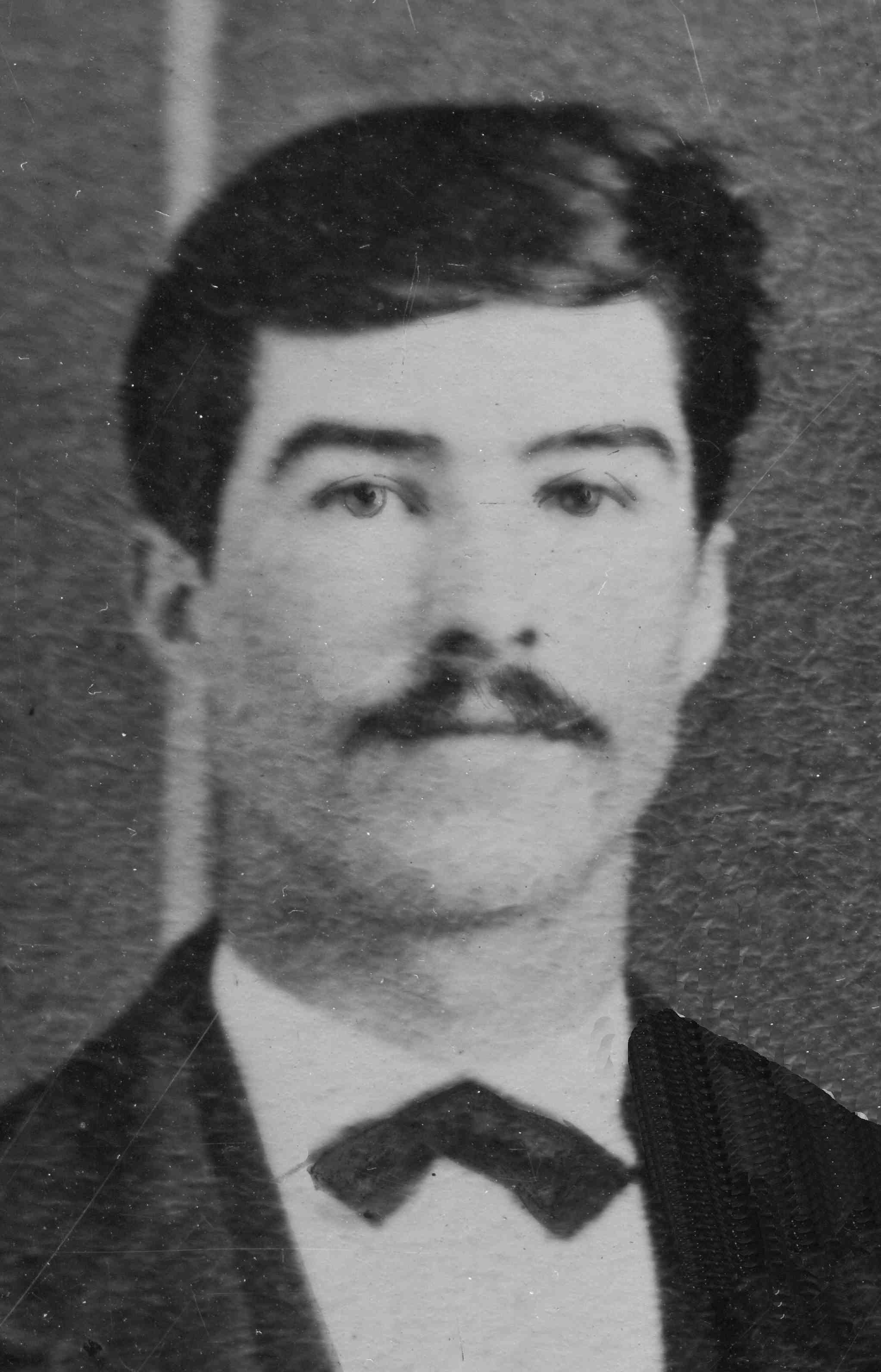 Vernee Lorenzo Halliday (1852 - 1941) Profile