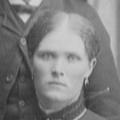 Sylvia Elmina Johnson (1863 - 1948) Profile