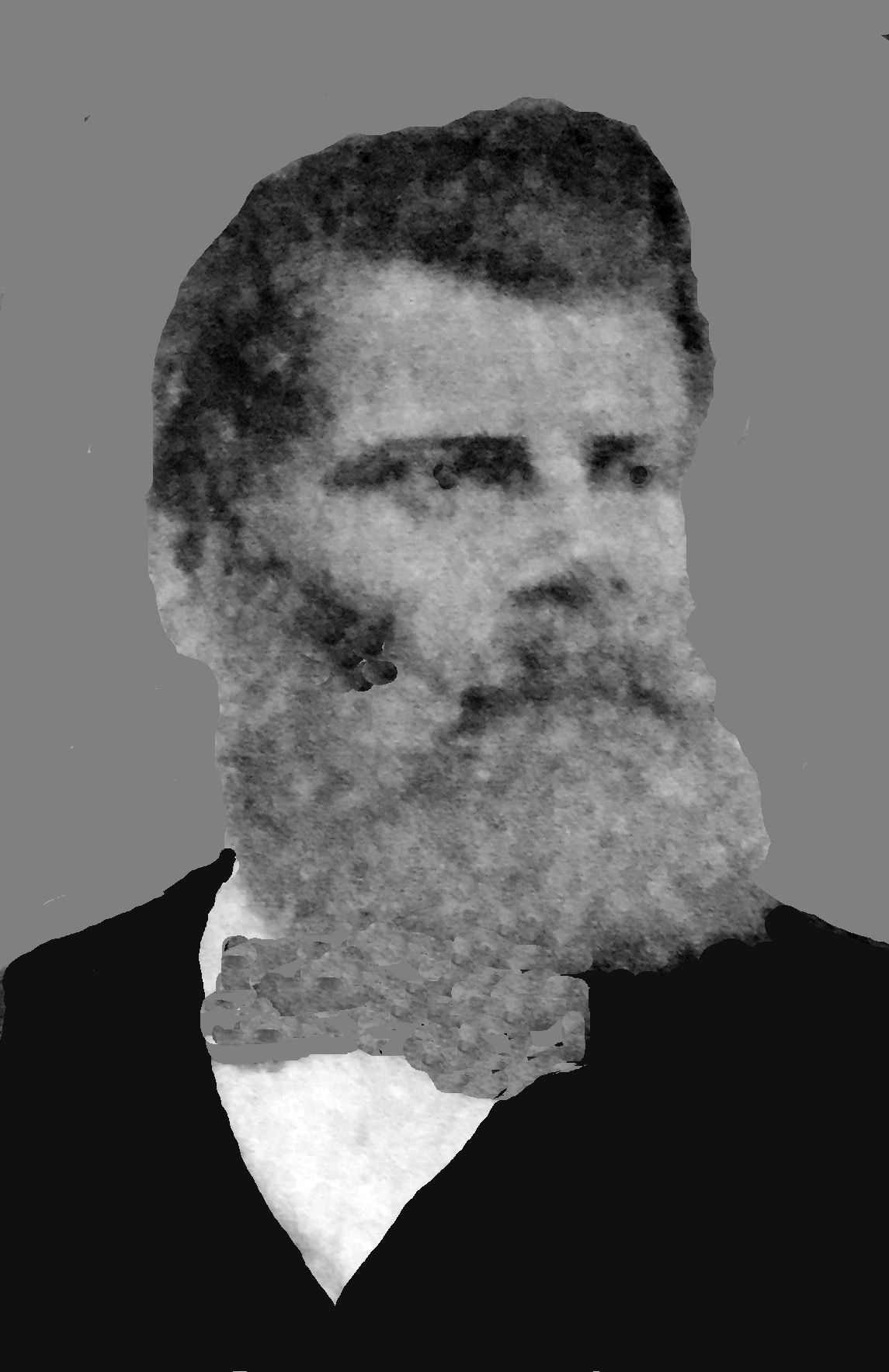 Einar Johnson (1839 - 1900) Profile