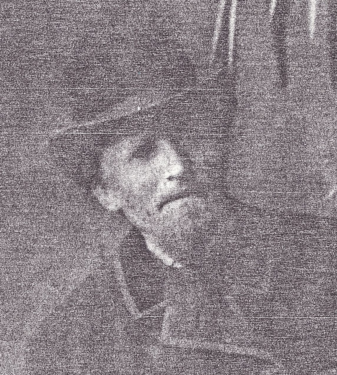Jens W Jensen (1839 - 1901)