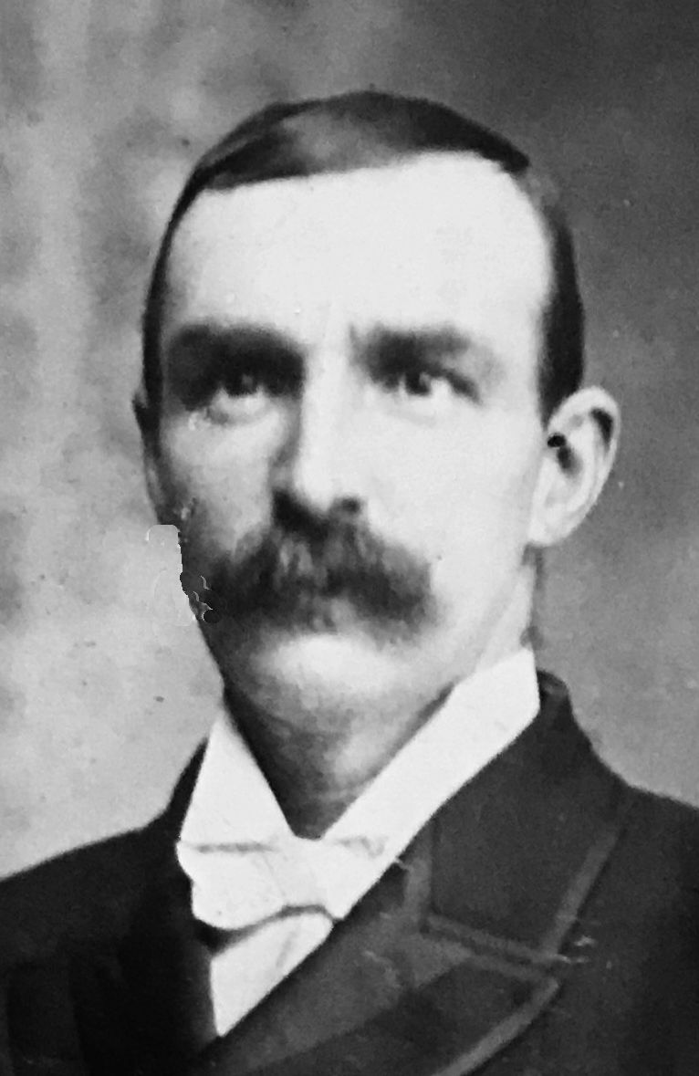 David Nelson Low (1858 - 1922) Profile