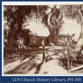 Mission Era Photo