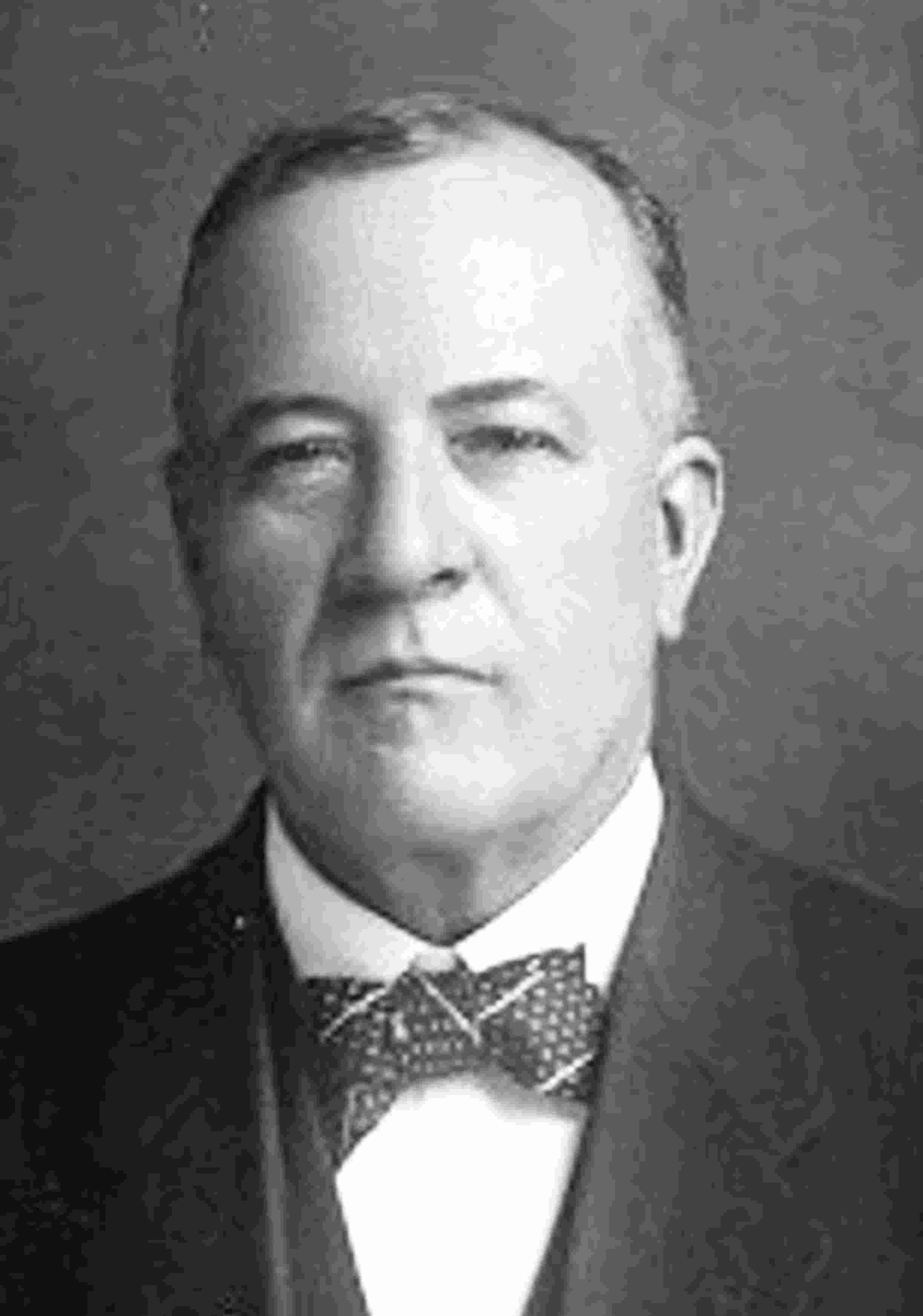 David Lennox Murdoch (1852 - 1928) Profile