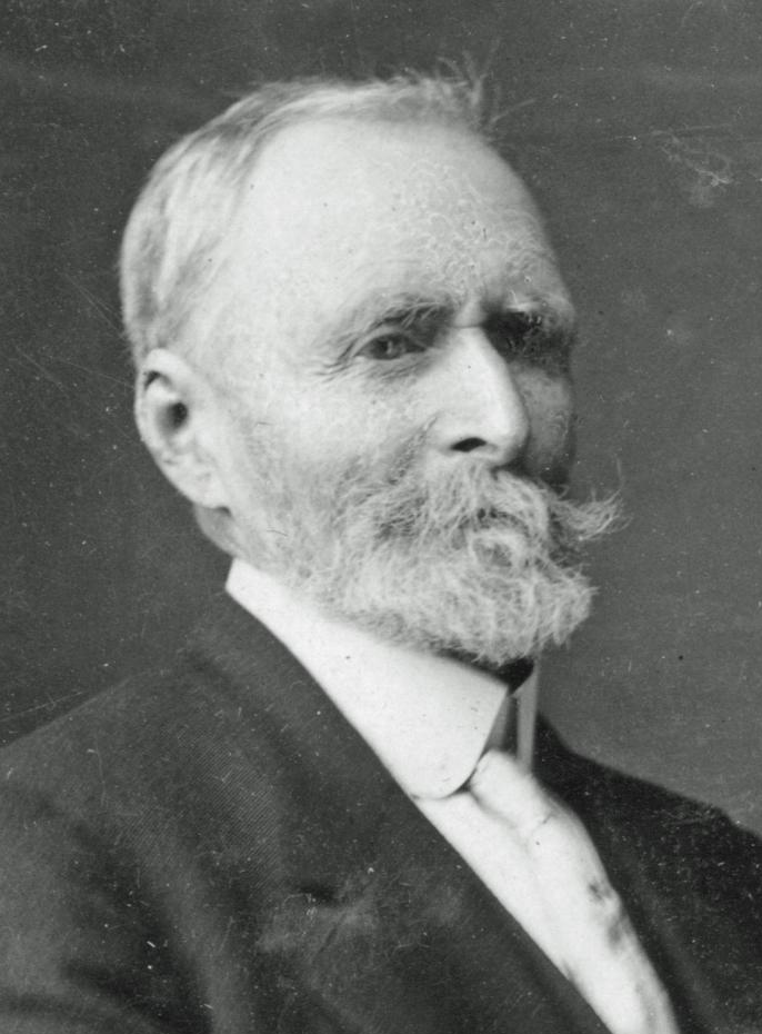 Patrick Henry McGuire (1844 - 1924) Profile