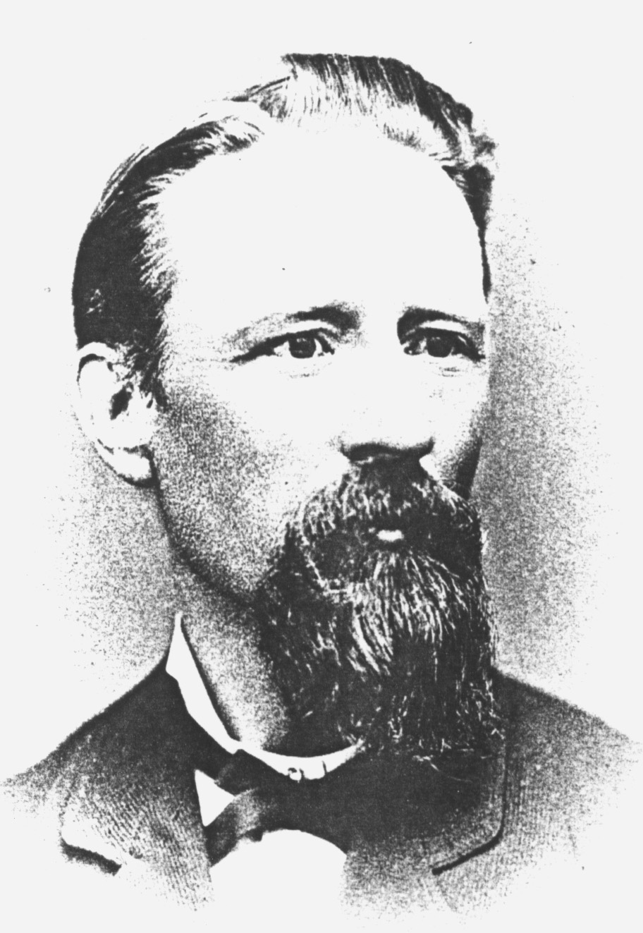 William McLachlan (1840 - 1916) Profile