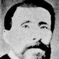 Thomas Mathews Perkins (1843 - 1884) Profile
