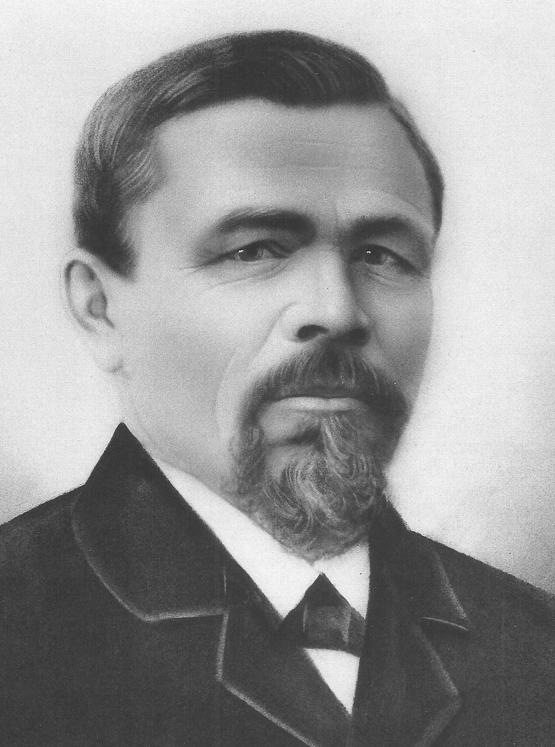 Johann Heinrich Stocker (1846 - 1918) Profile