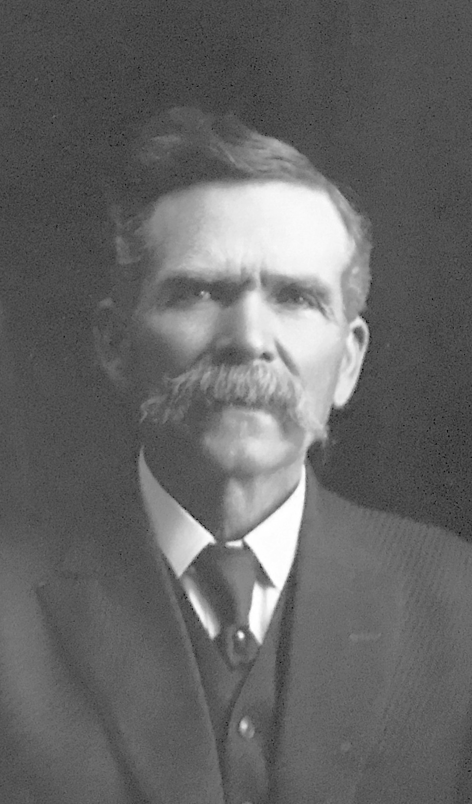 Alva Benson Wilson (1855 - 1938) Profile