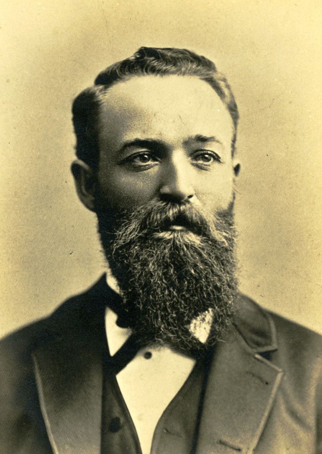 Henry Alberto Woolley (1851 - 1894) Profile
