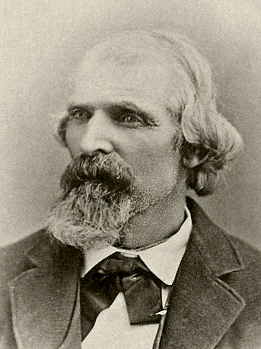 Samuel Allen Wilcox (1819 - 1898) Profile