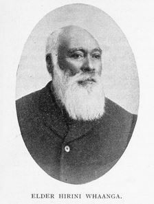 Hirini Te Rito Whaanga (1828 - 1905) Profile