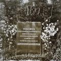 Victor Lee's headstone in Tonga