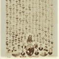Mormon Tabernacle Choir,  1891